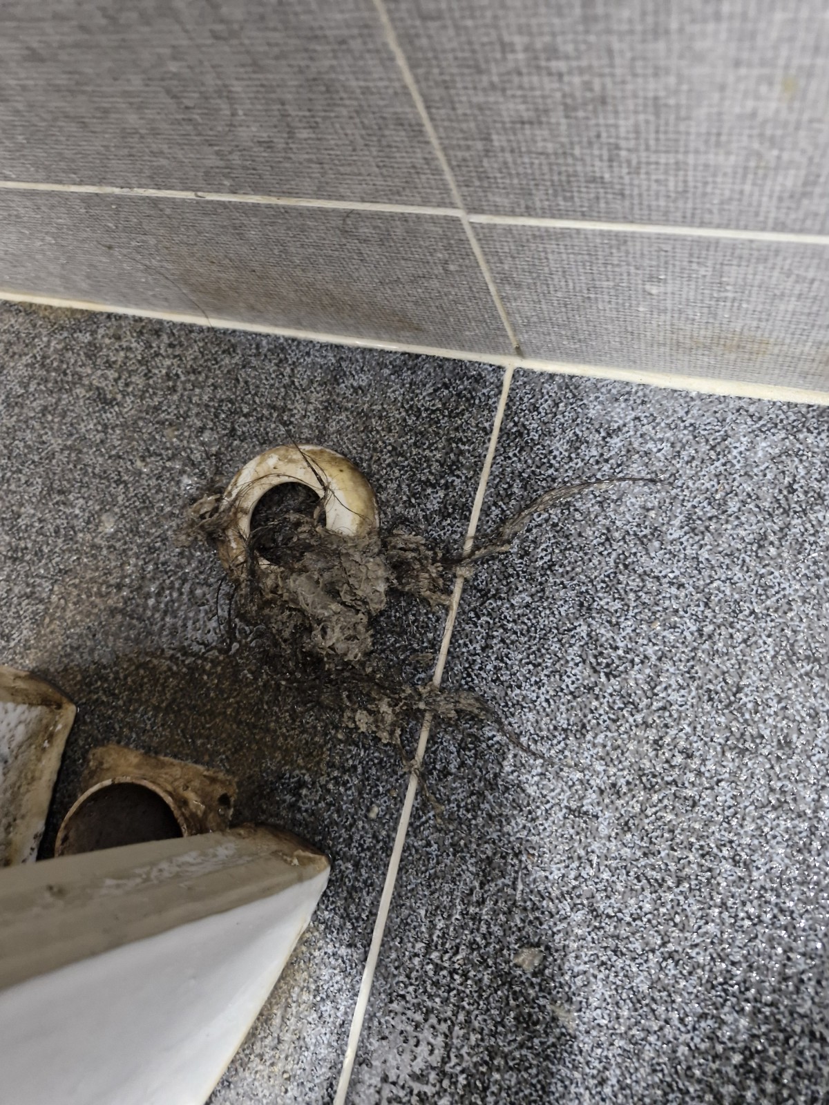 2356858d2f0e16b394ca073538629305_1756650