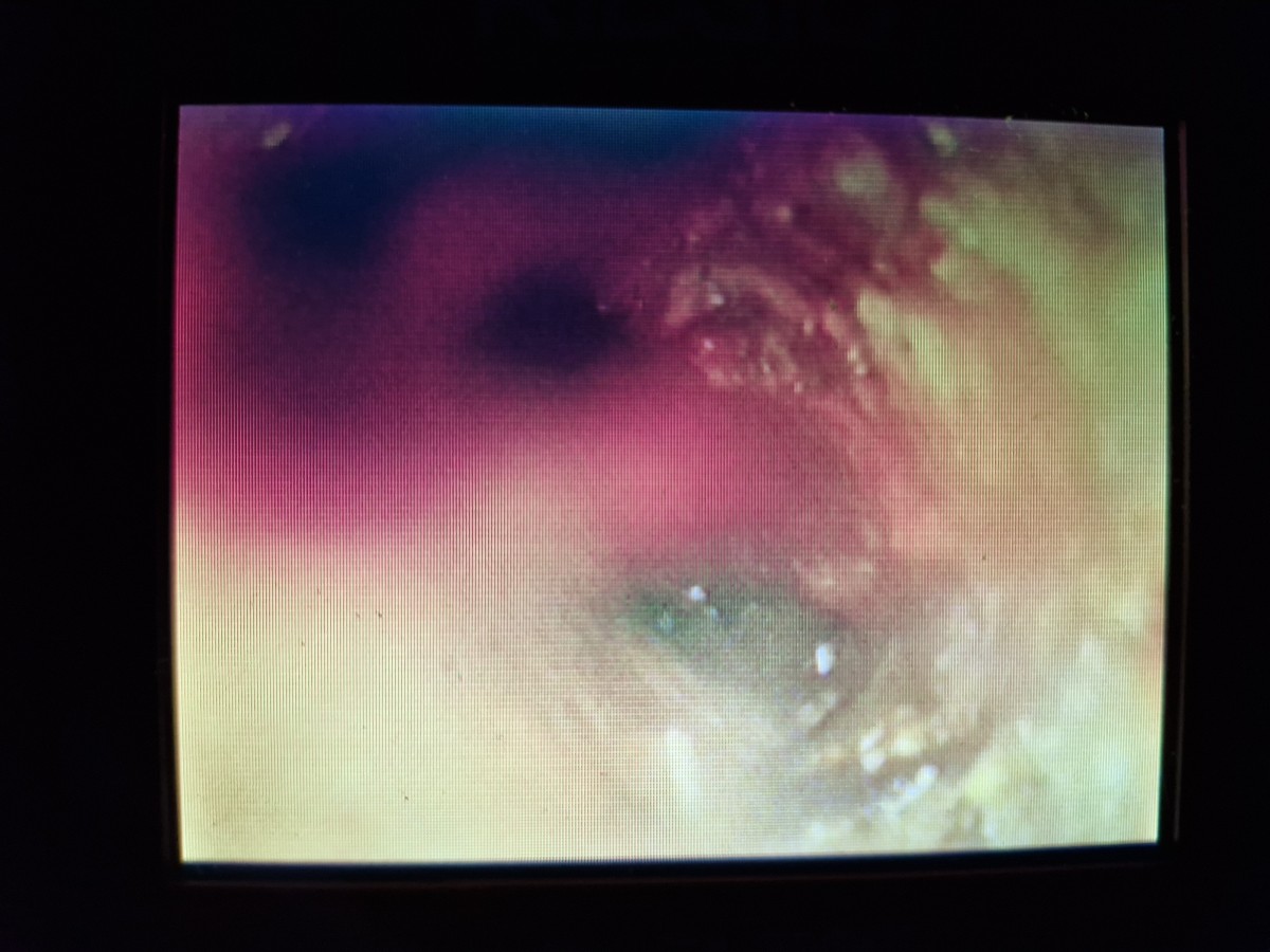 c2b2a212ff9a6f751f4907f84d7b360a_1755010