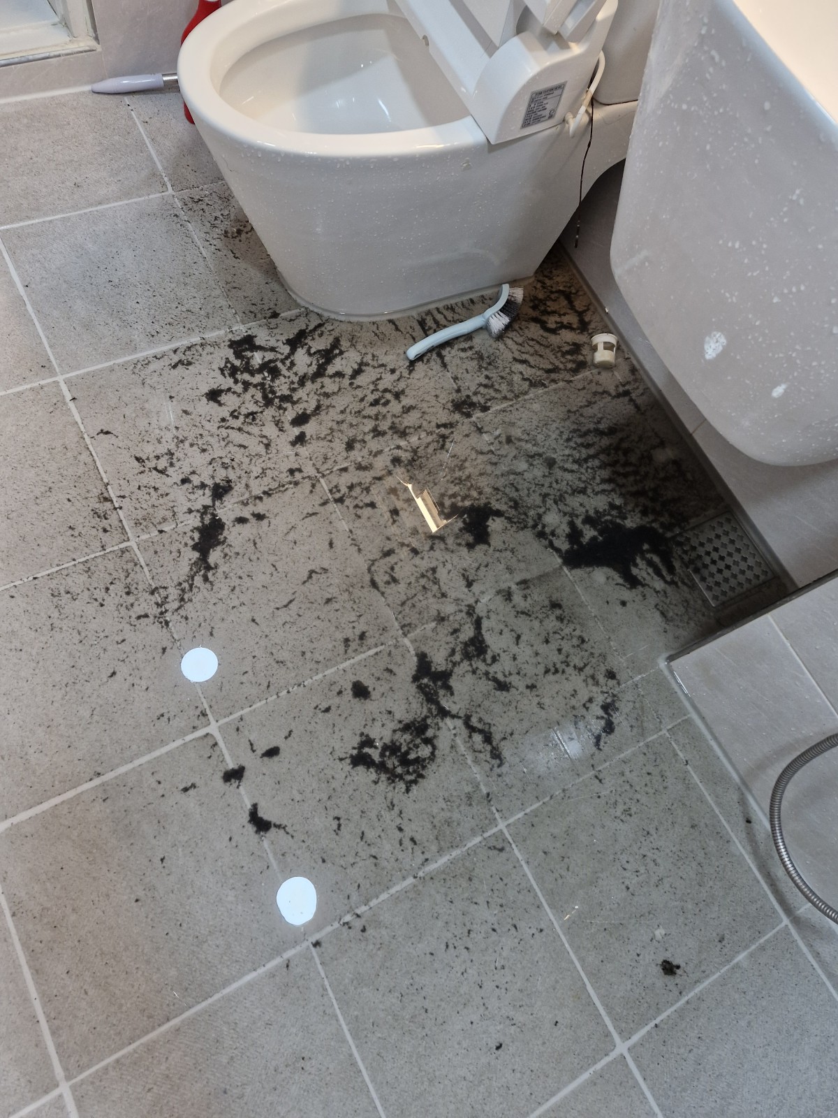 1a6eb70460f213b45b1f6a1c6be4f457_1760288