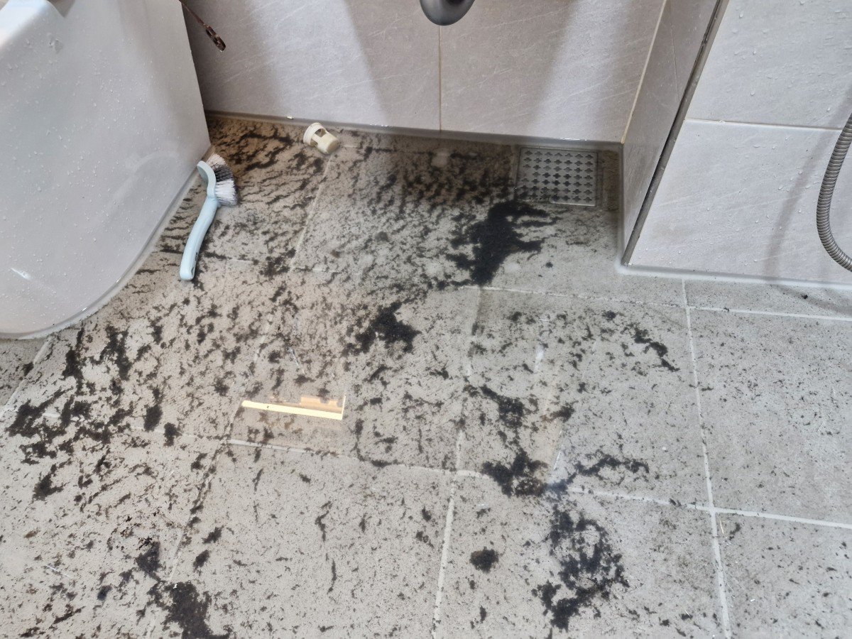 1a6eb70460f213b45b1f6a1c6be4f457_1760288