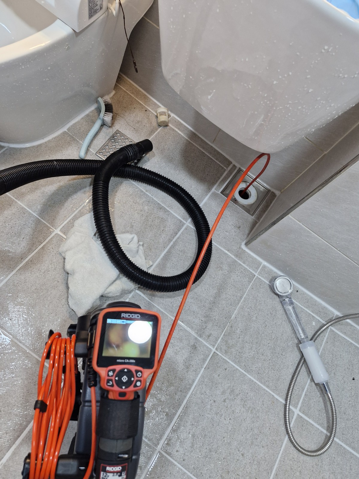 1a6eb70460f213b45b1f6a1c6be4f457_1760288